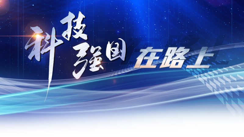 数据服务报价单：揭秘企业数据服务采购的关键要素